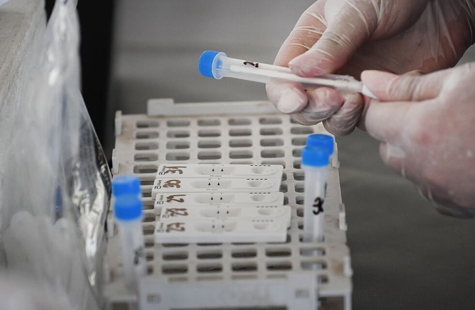 Coronavirus: 9 casos registrados este martes en San Luis