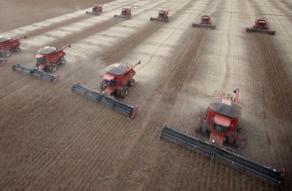 Mercado granario global y local