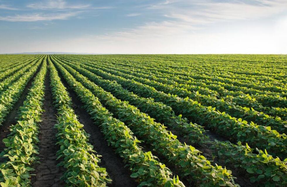 El Gobierno anticipó nuevas medidas para el agro