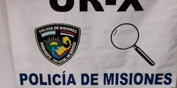 La mujer que tenía en su poder el celular lo entregó voluntariamente al conocer su procedencia.