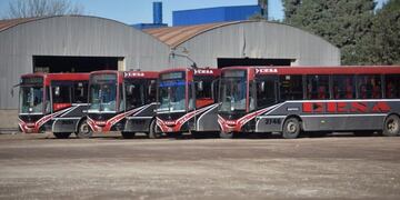 No habrá colectivos el 29 de mayo