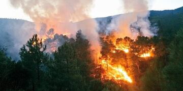 Incendio forestal