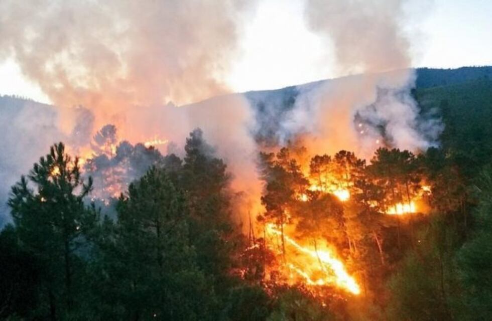 Riesgo de incendio alto para los próximos días en Carlos Paz