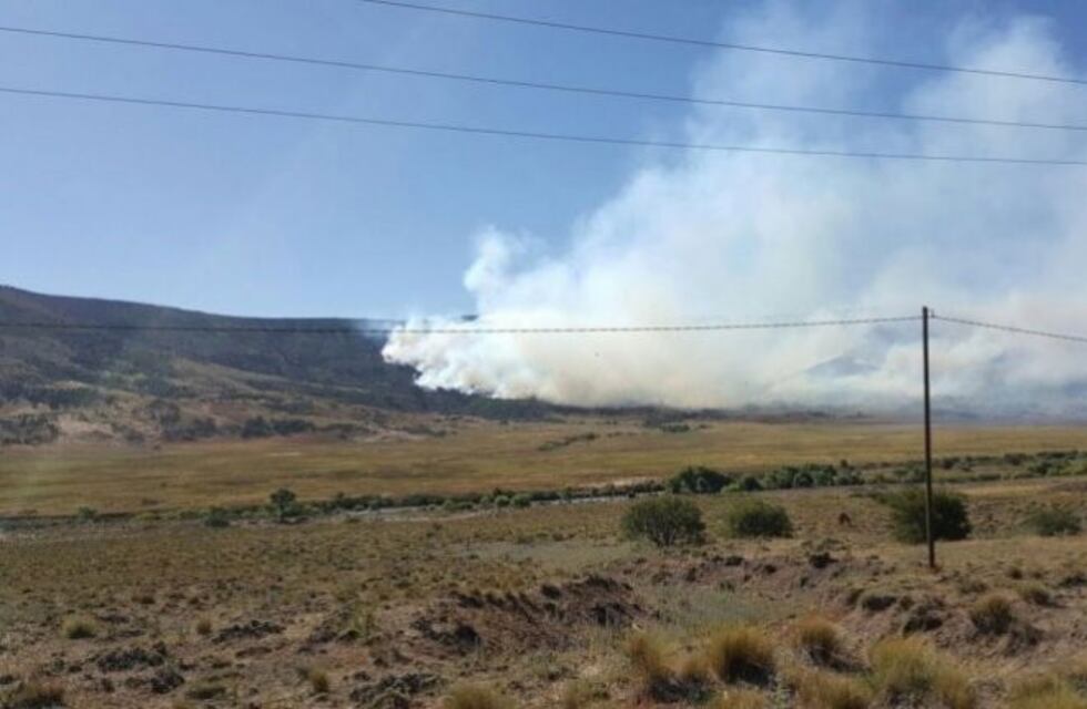 Intentan extinguir un incendio que arrasa bosques nativos en la cordillera neuquina