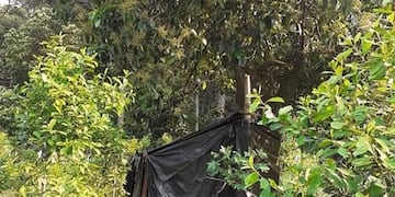Montaron un campamento para continuar los estudios porque no tienen señal de celular en su casa