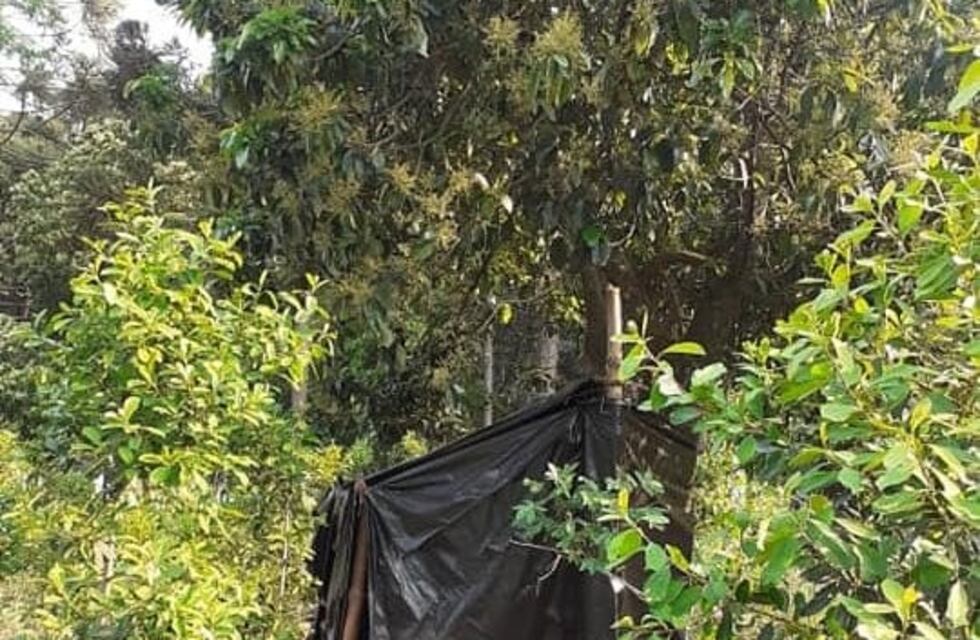 Montaron un campamento para continuar los estudios porque no tienen señal de celular en su casa