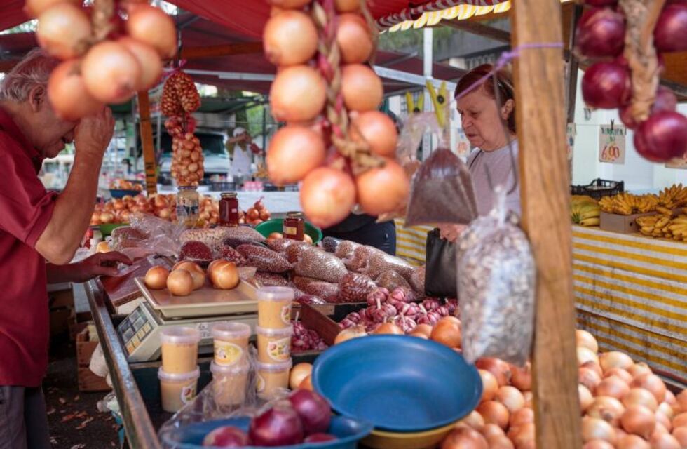 Dónde conseguir alimentos en oferta