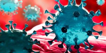 Se agrava la situación sanitaria por el Coronavirus en Gualeguaychú\u002E\nCrédito: Web