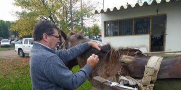 Carros\ncrédito: La Pirámide