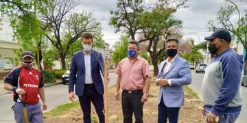 Plan de forestación San Francisco