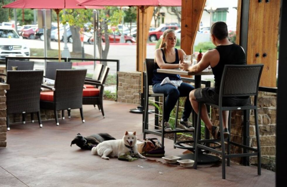Llaman a los porteños a votar sobre si las mascotas pueden entrar a locales gastronómicos