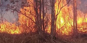 Fuego en los montes jujeños