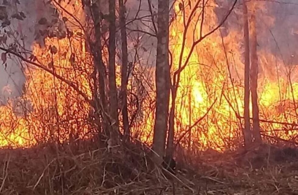 También en los valles de altura de Jujuy luchan contra el fuego