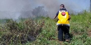 Focos de incendios forestales debieron ser apagados por bomberos