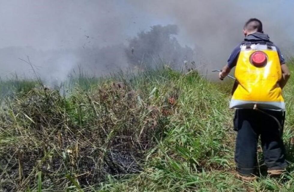 Focos de incendios forestales debieron ser apagados por bomberos