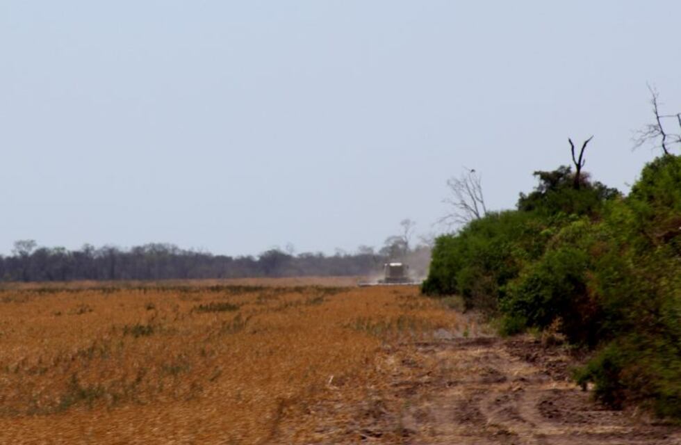 Advierten sobre el crecimiento de los desmontes en Santiago del Estero