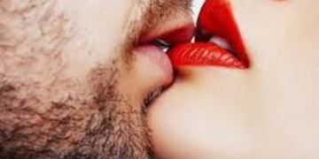 Virus del Papiloma Humano afecta principalmente a los órganos genitales\u002E (WEB)