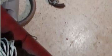 Arma de fuego encontrada en el hogar de la víctima\u002E