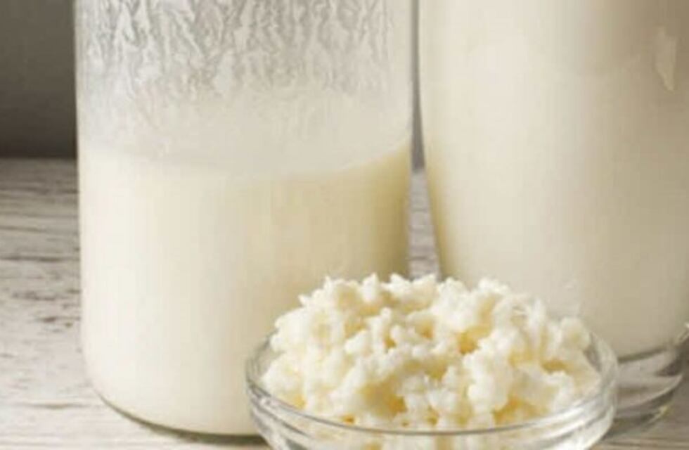 Estudiantes rosarinos enseñan la receta de una leche probiótica en merenderos barriales