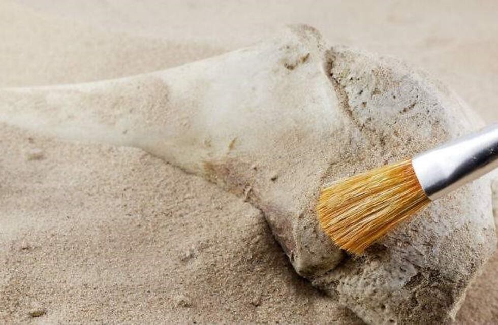 Encuentran restos óseos humanos en Cerro Azul