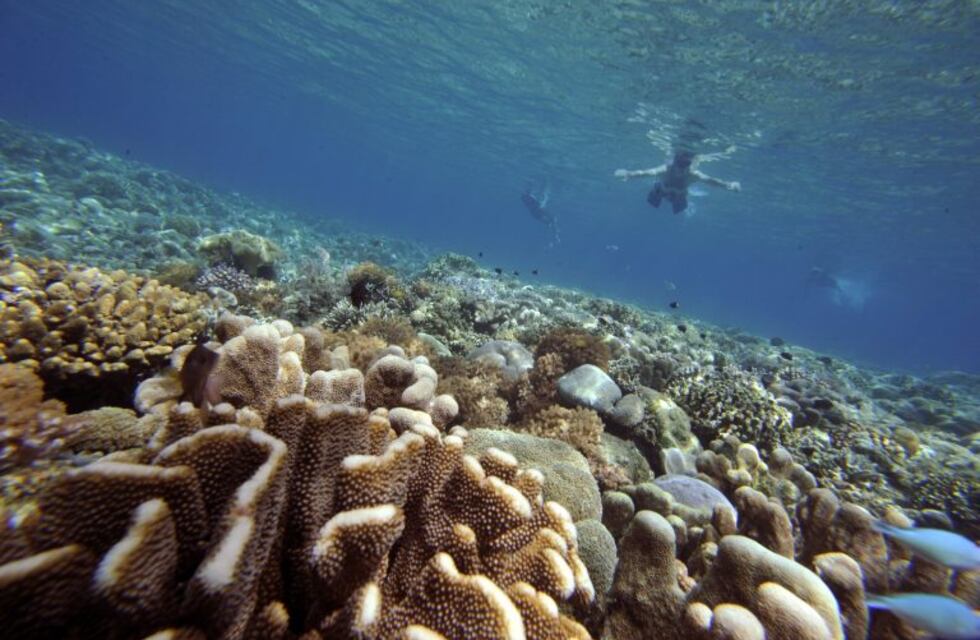 El mundo se reúne para crear un tratado de protección de océanos