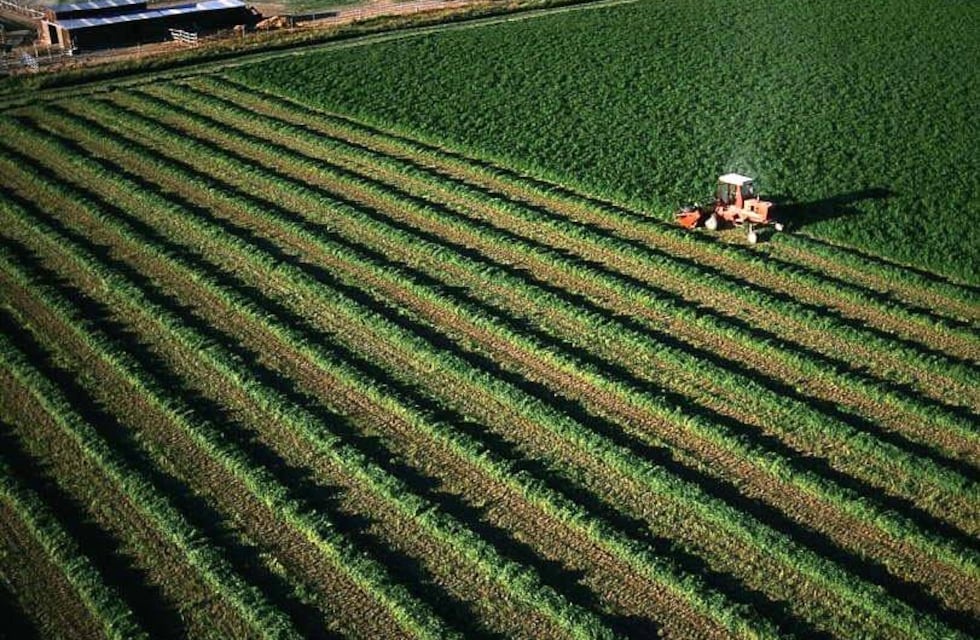 Análisis de la producción animal con presencia de tréboles y alfalfa