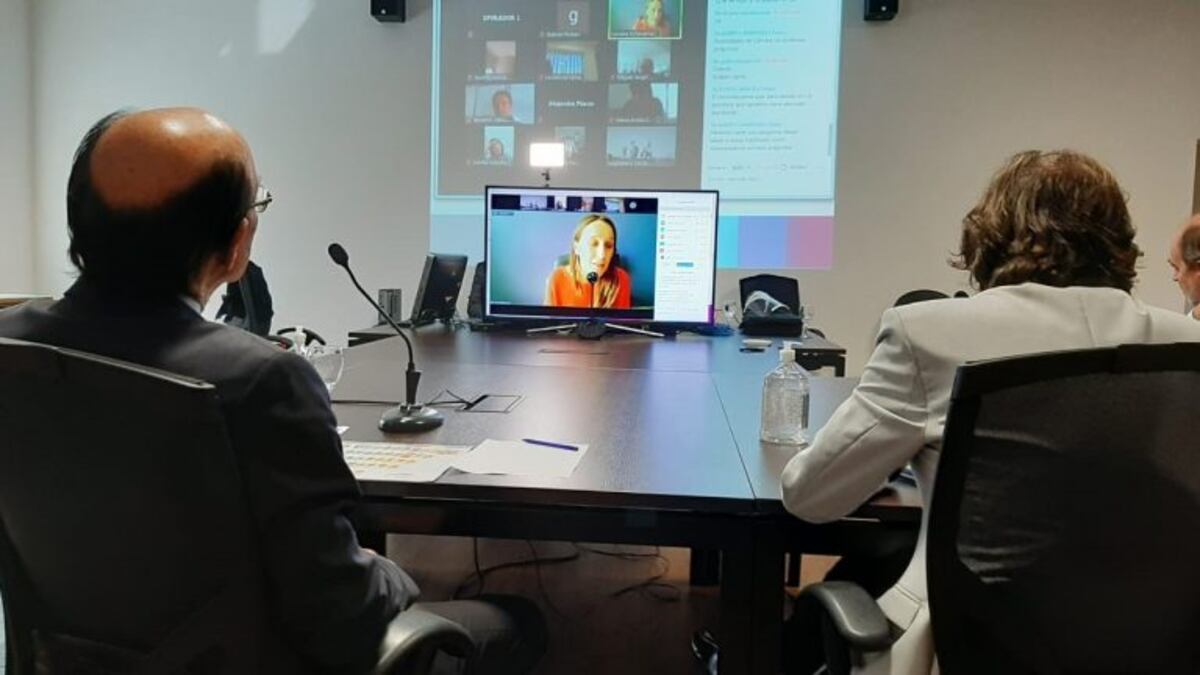 Reunión virtual en la Legislatura con Giordano