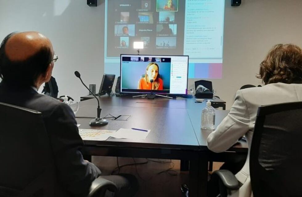 Giordano encabezó una reunión virtual con la Comisión de Economía y Presupuesto