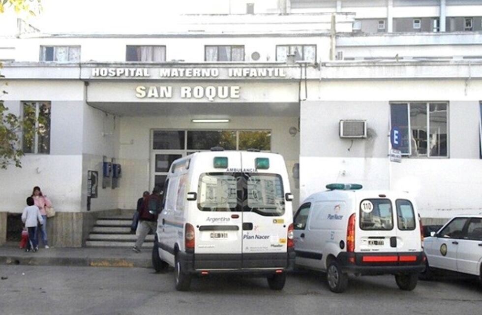 Internaron a una nena de dos años que fue mordida por un perro en Paraná