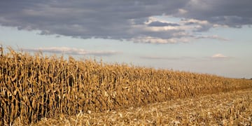 Campo Los Molinos\u002E