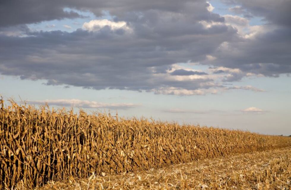 Historia de película en Los Molinos