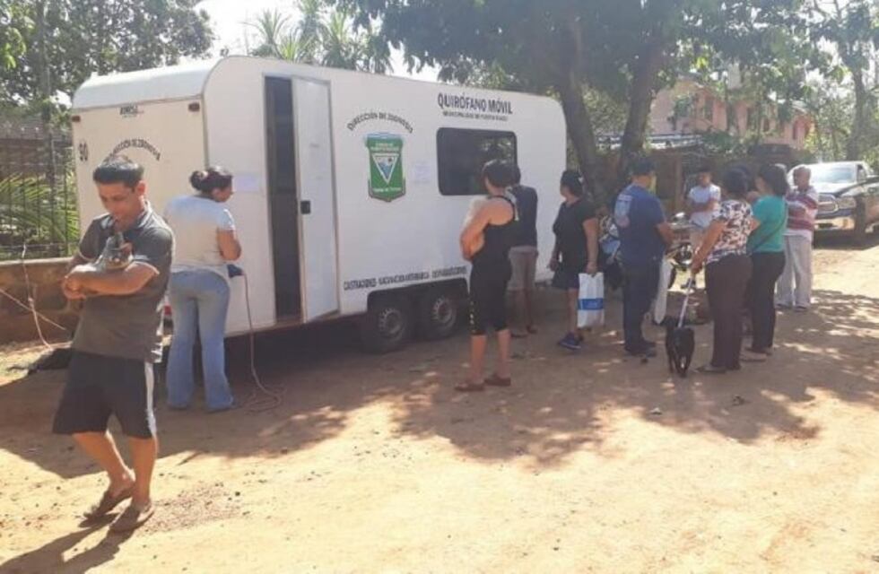Trasladan un quirófano móvil de mascotas a los barrios de Iguazú