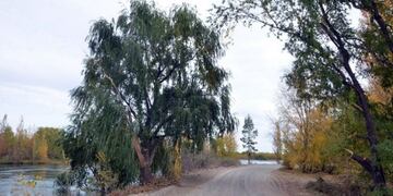 Calles de Neuquen con el nombre de ARA San Juan