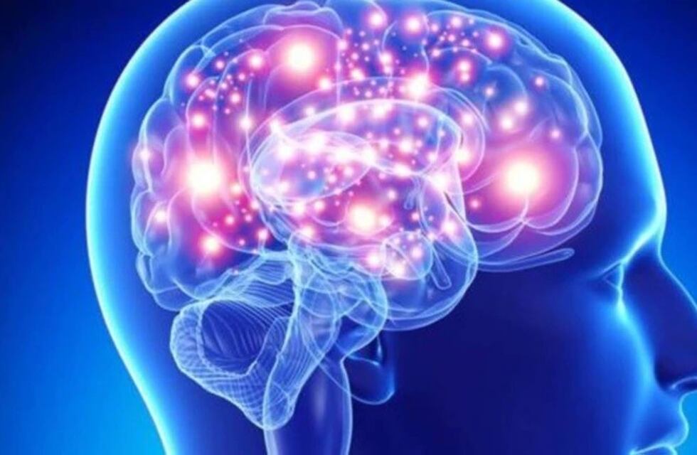 Difundieron imágenes de un cerebro degenerándose por el consumo de cocaína