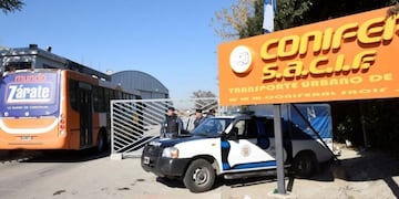 Coniferal