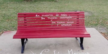 Femicidio en General Campos (Web)