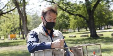 Aves de tráfico ilegal en Córdoba (Municipalidad de Córdoba)