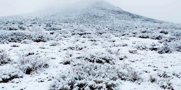 Nevadas en el oeste pampeano (Vázquez)
