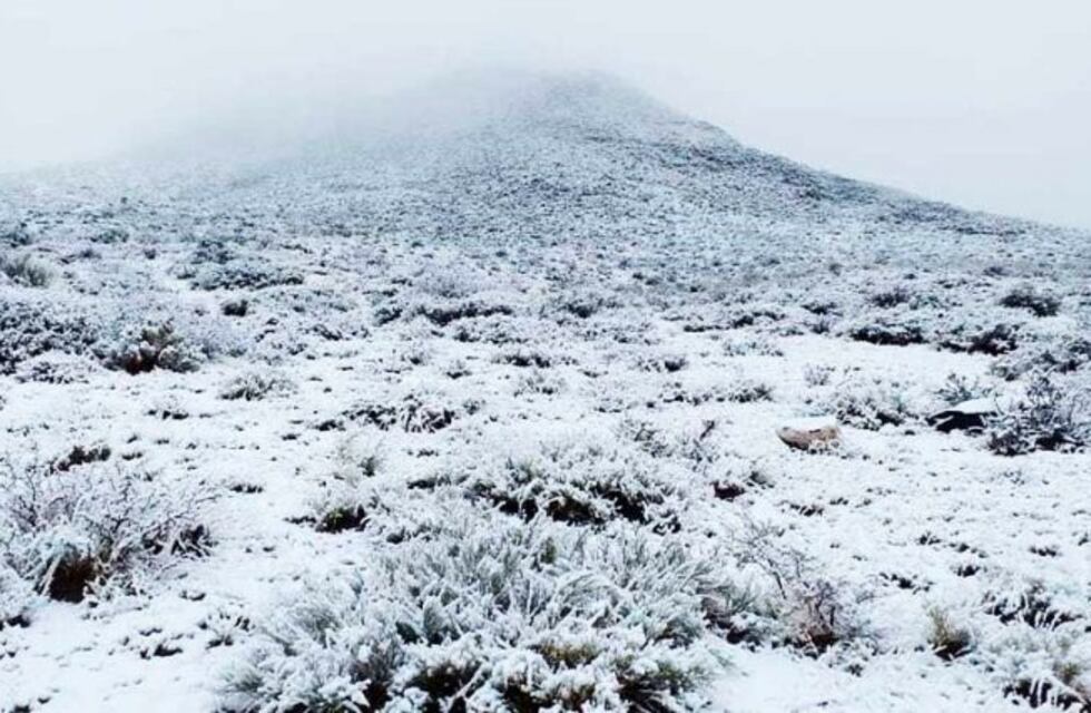 Nevó en la zona del Cerro Agua de Torres, en el noroeste de La Pampa