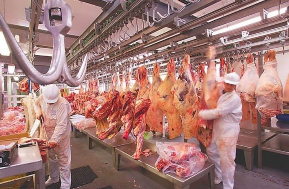 El Gobierno prohibió que los trabajadores de la carne carguen en la espalda cortes de más de 25 kilos
