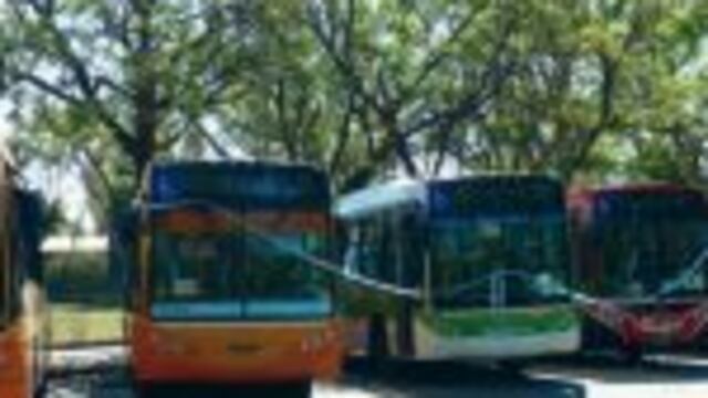 Las nuevas unidades se presentaron en el Parque Sarmiento