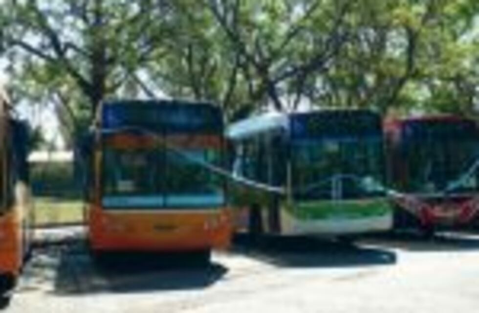 El transporte urbano suma nuevos colectivos