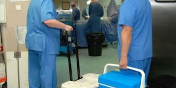 Ablación de órganos\nCrédito: Vía país