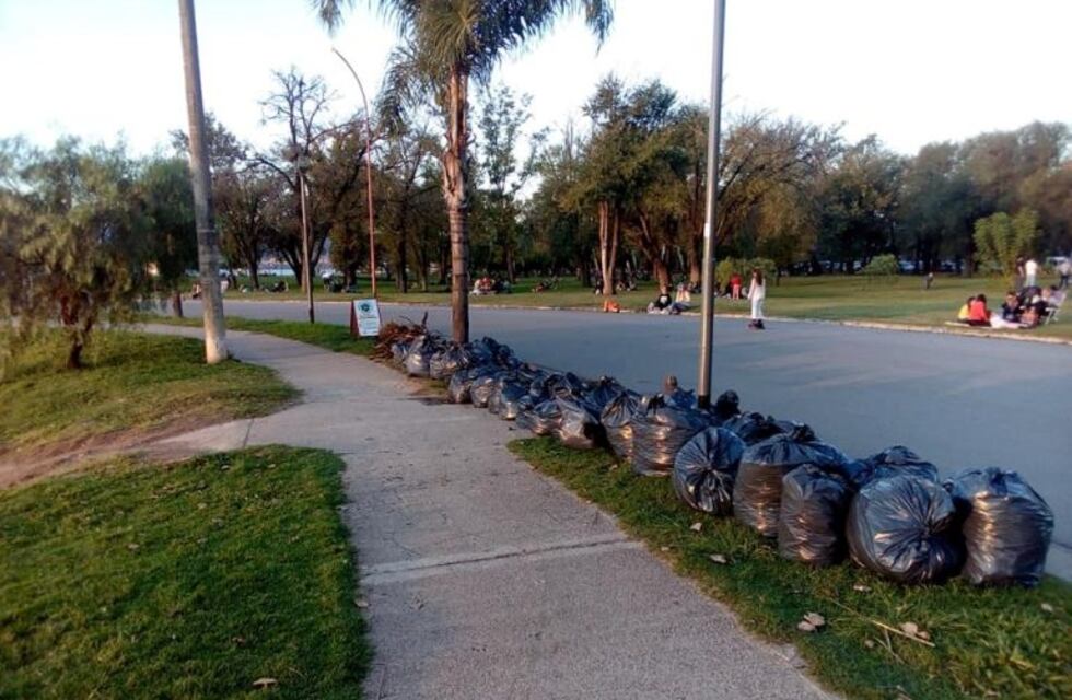 Limpieza del lago: la ayuda se multiplica en Carlos Paz