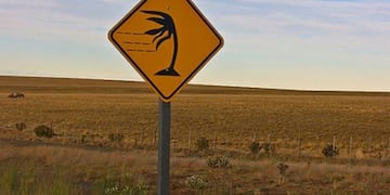 Alerta por vientos (foto ilustrativa)