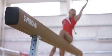 centro municipal gimnasia artistica (web)