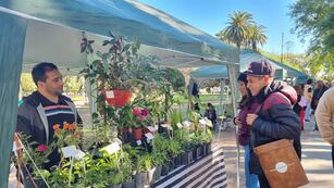 Nueva edición de la feria "Desde el Origen"