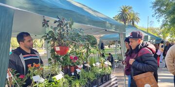 Nueva edición de la feria "Desde el Origen"