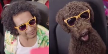 La imagen de la publicidad en México\u002E