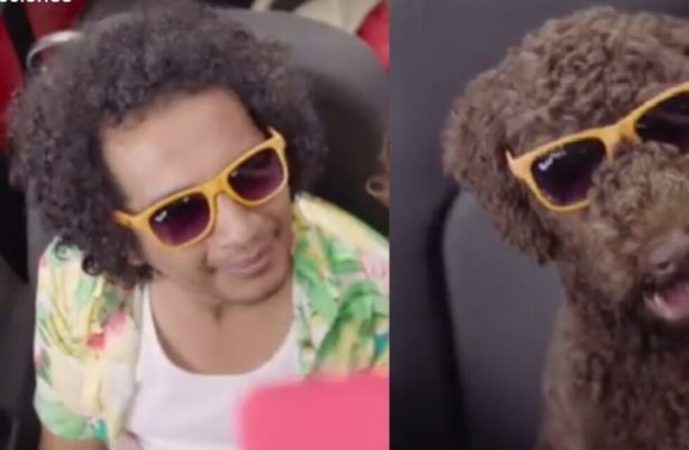 Viral: polémica en México por una publicidad que compara a indigente con un perro